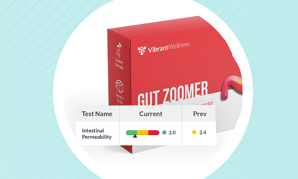 Gut Zoomer Bootcamp